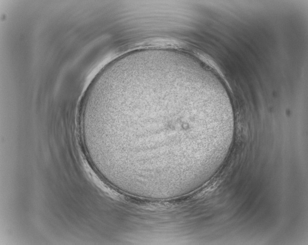 X0000052551091200507291909