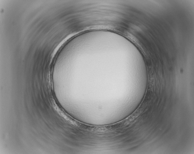 X0000052551092200507291909