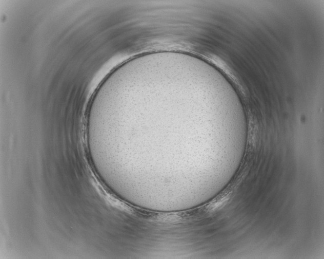 X0000052551094200507291909