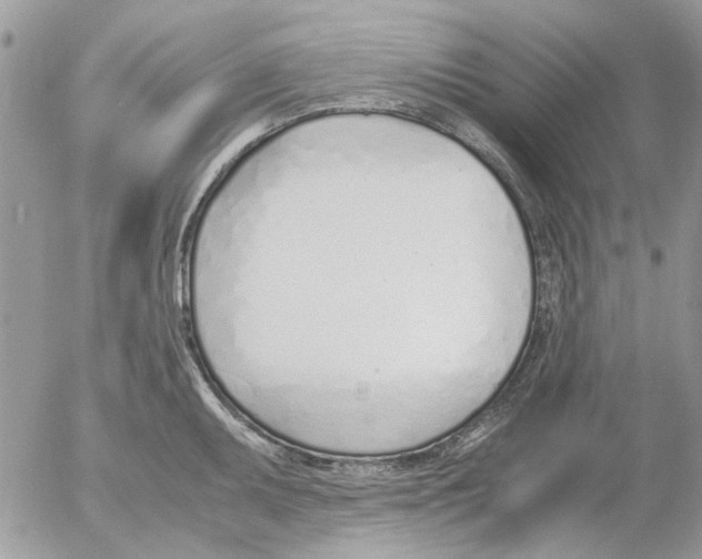 X0000052551095200507291909