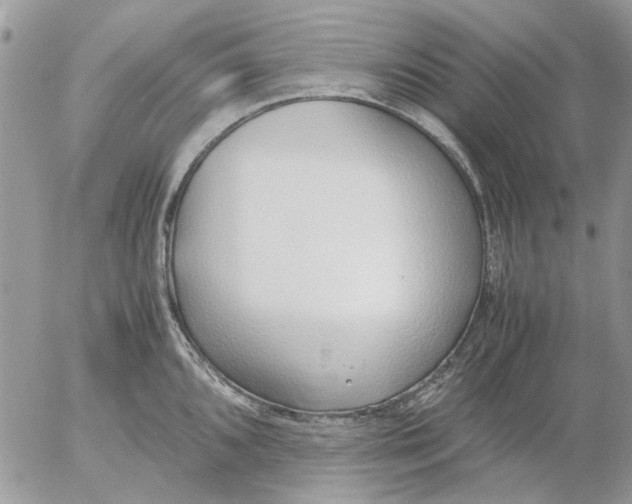 X0000052551096200507291909