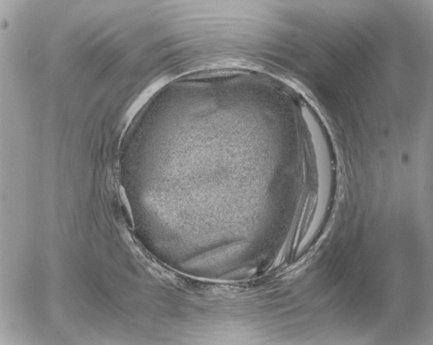 X0000052551097200507291909