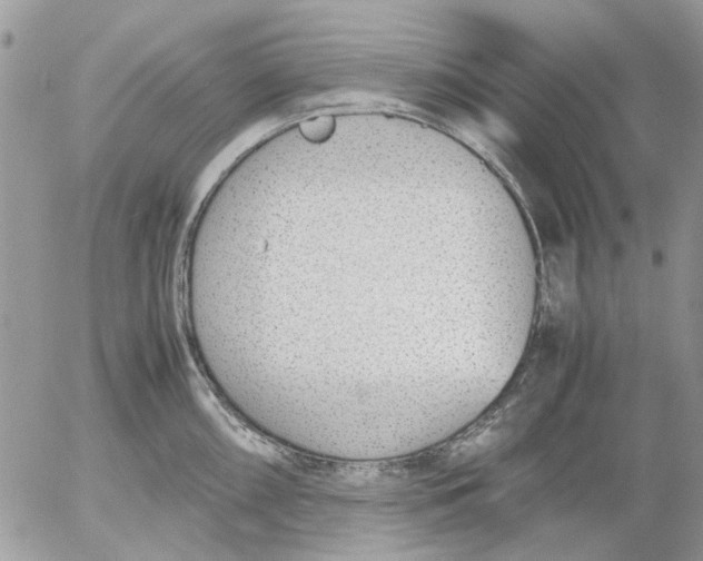 X0000052551098200507291909