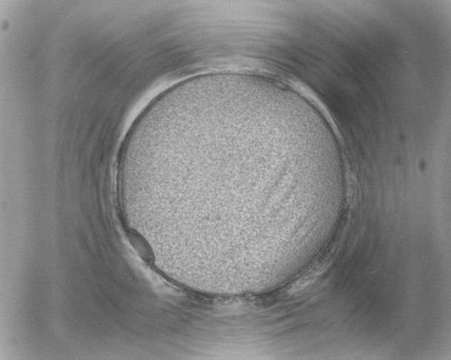 X0000052551099200507291909