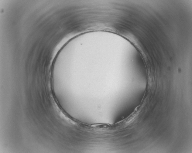 X0000052551102200507291909