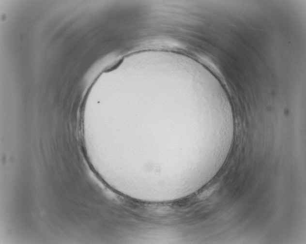 X0000052551103200507291909