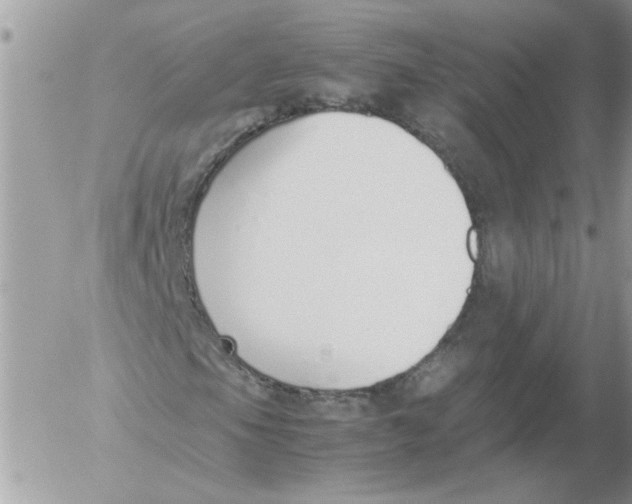 X0000052551105200507291908