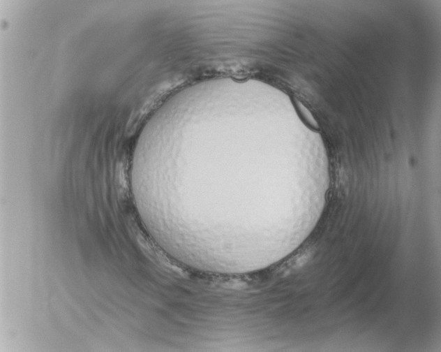 X0000052551106200507291908