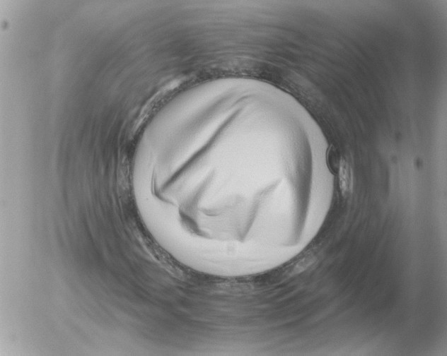 X0000052551107200507291908