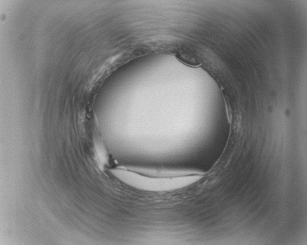 X0000052551108200507291908