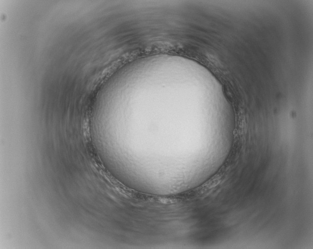 X0000052551109200507291908