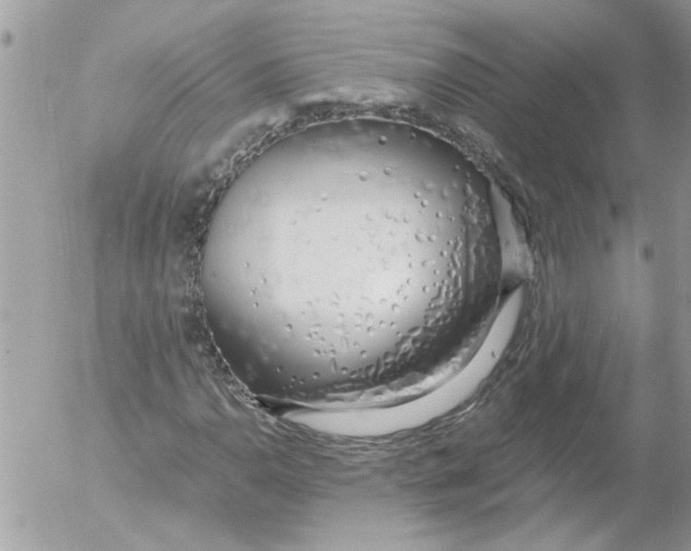 X0000052551110200507291908