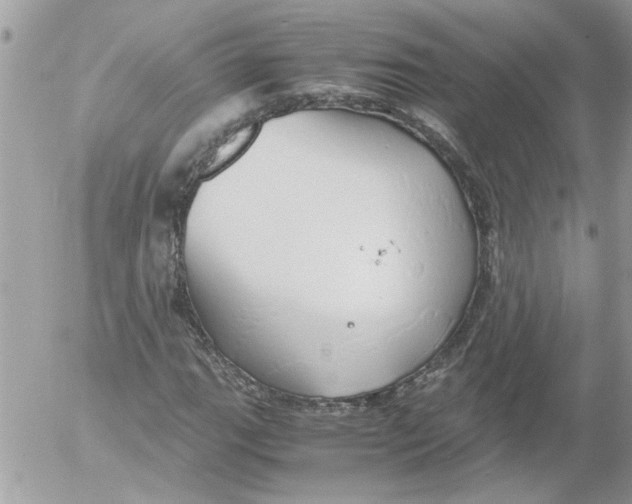 X0000052551111200507291908