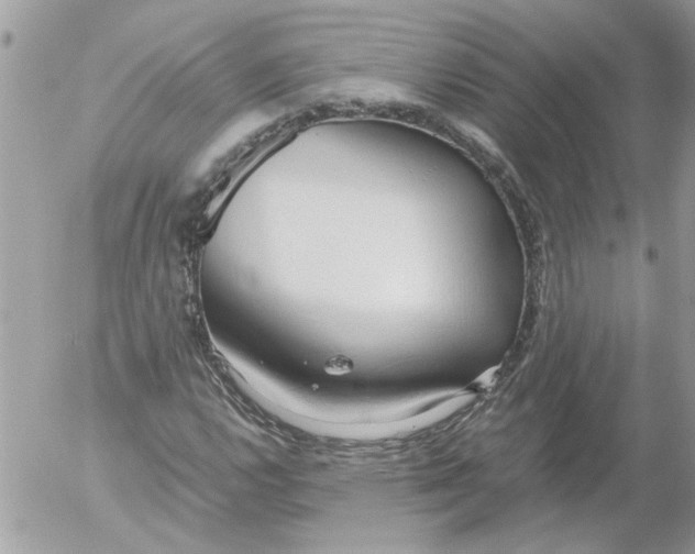 X0000052551112200507291908