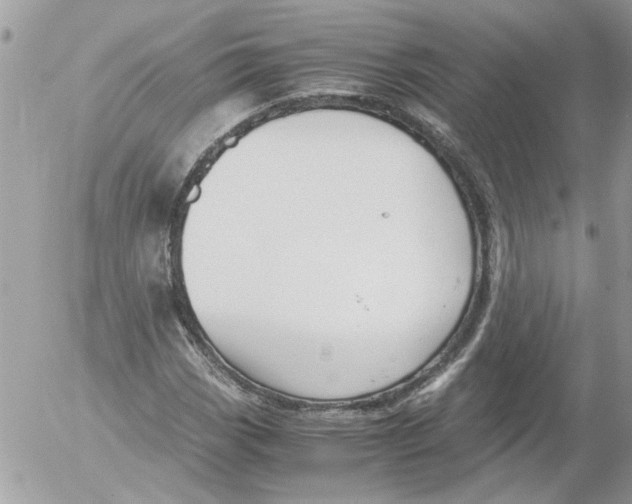 X0000052551113200507291909