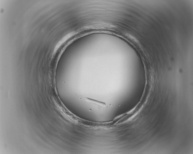 X0000052551114200507291909