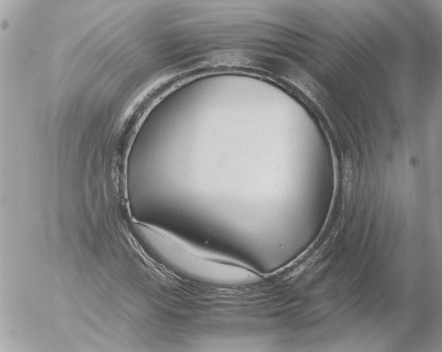 X0000052551115200507291909