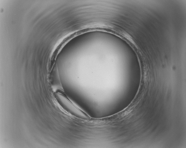 X0000052551116200507291909