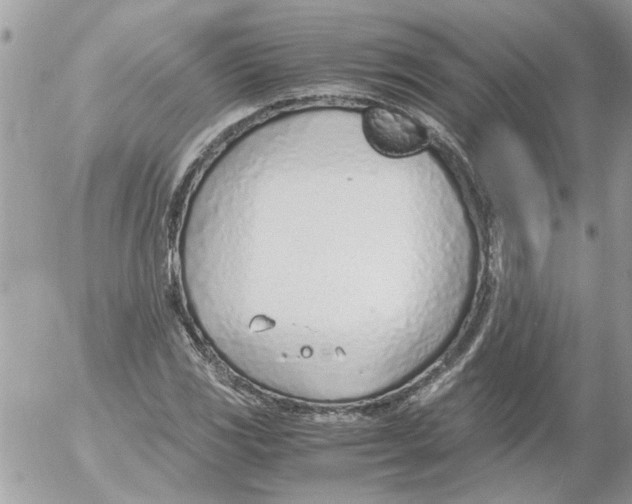 X0000052551117200507291909