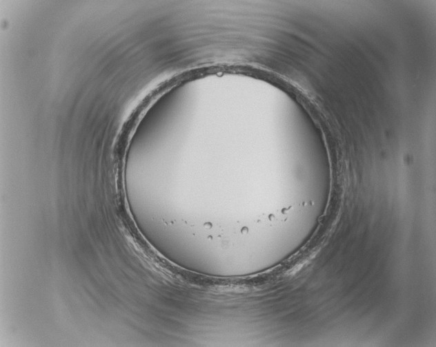 X0000052551118200507291909