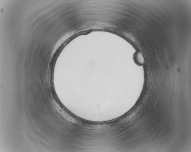 X0000052551122200507291909