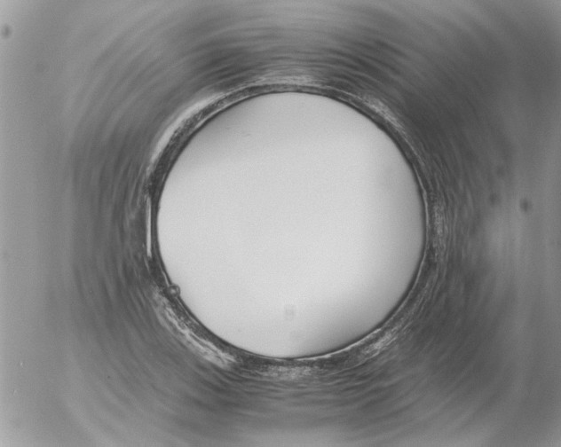 X0000052551123200507291909