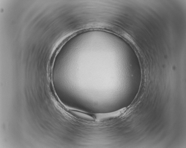 X0000052551124200507291909