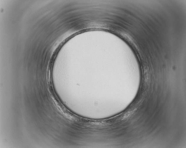 X0000052551125200507291909