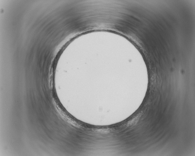 X0000052551126200507291909