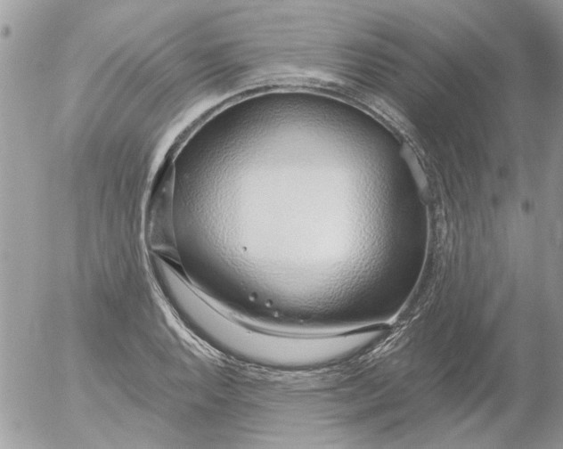 X0000052551128200507291909