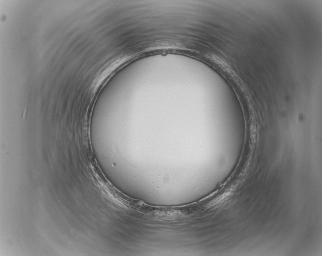 X0000052551129200507291909