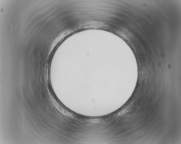 X0000052551130200507291909