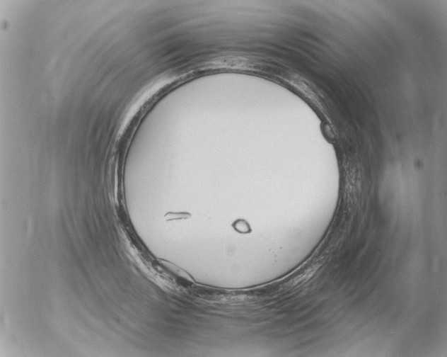 X0000052551131200507291909