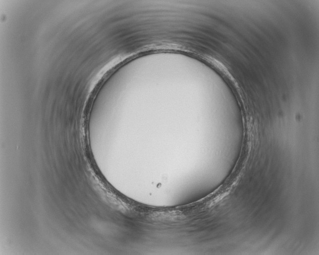 X0000052551133200507291909