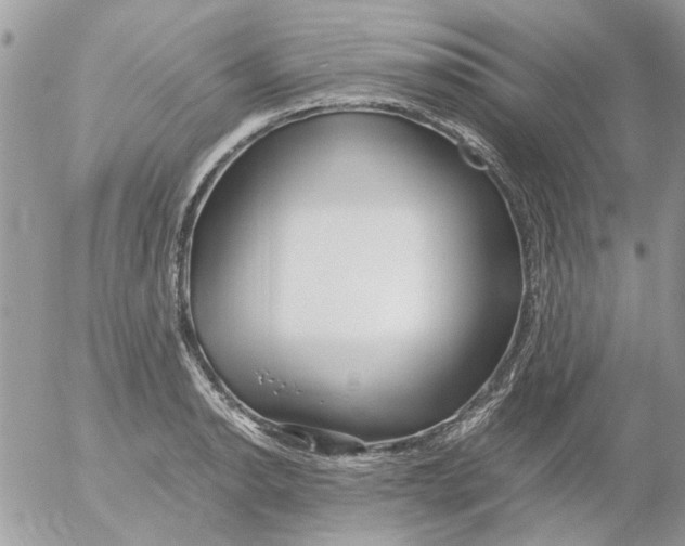 X0000052551134200507291909