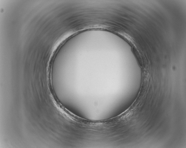 X0000052551135200507291909