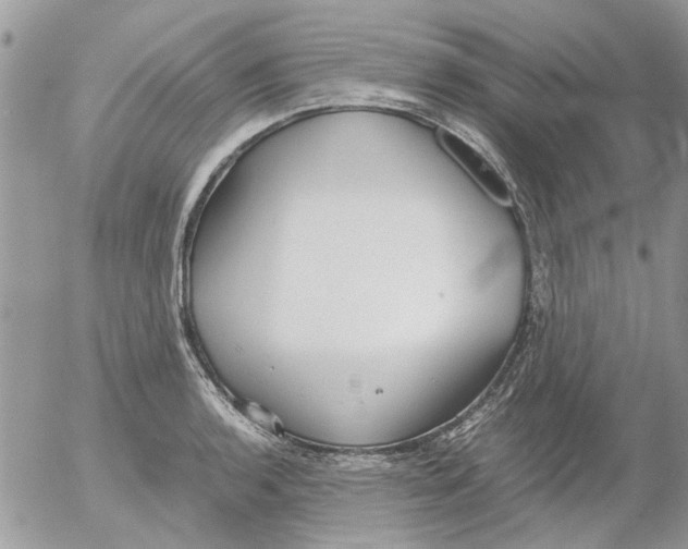 X0000052551136200507291909