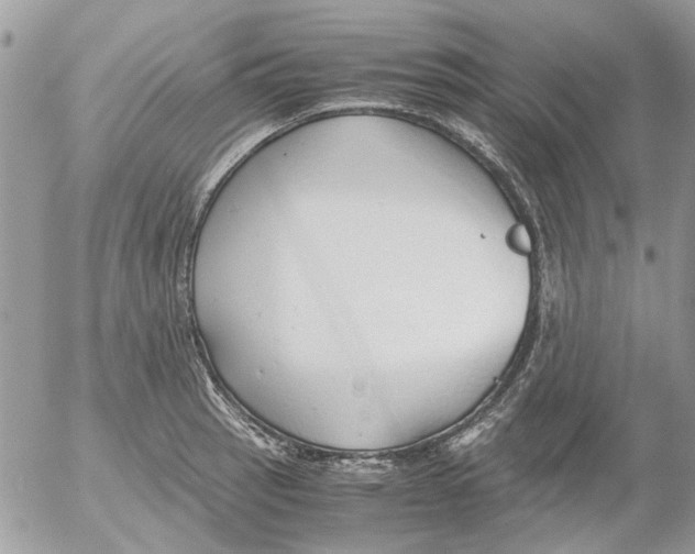 X0000052551137200507291909