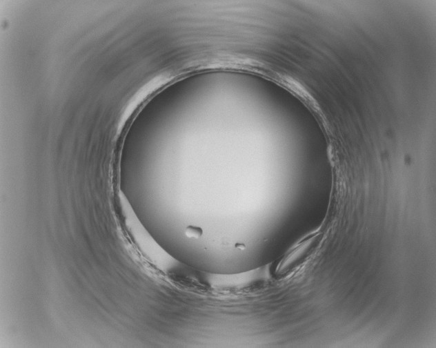 X0000052551138200507291909