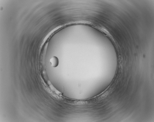 X0000052551140200507291909