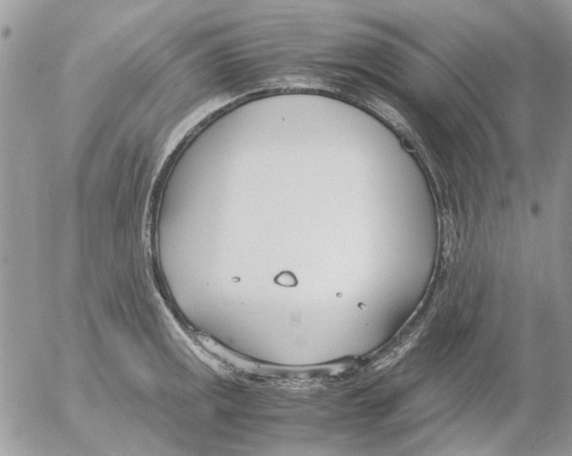 X0000052551141200507291909