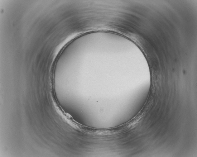 X0000052551142200507291909