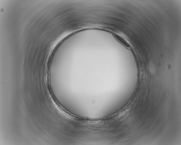 X0000052551143200507291909