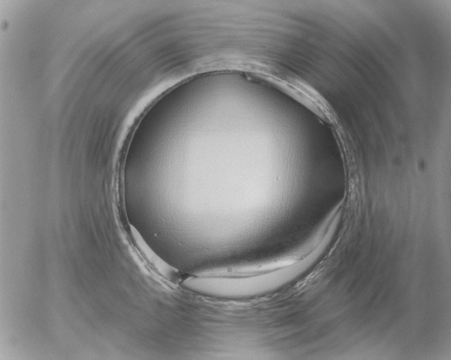 X0000052551144200507291909