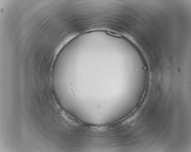 X0000052551145200507291909