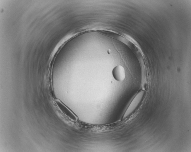 X0000052551146200507291909