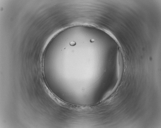 X0000052551148200507291909