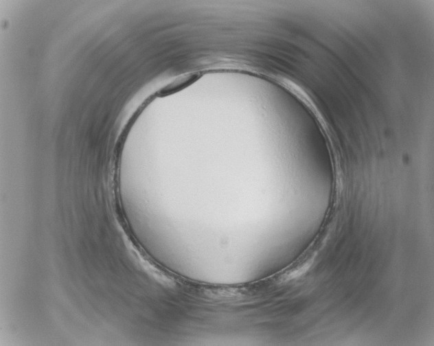 X0000052551149200507291909