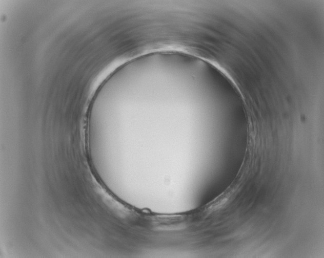 X0000052551151200507291909