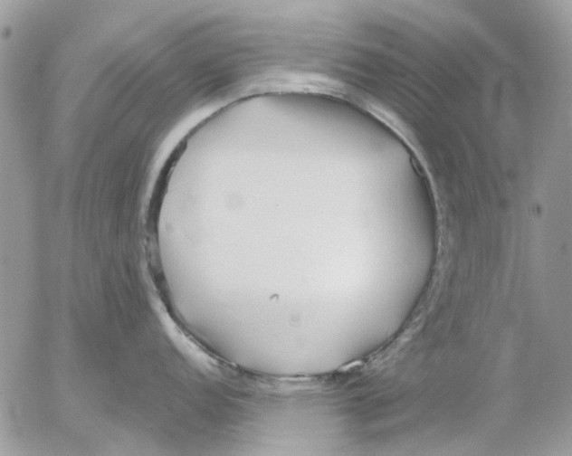 X0000052551152200507291909